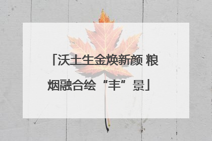 沃土生金焕新颜 粮烟融合绘“丰”景