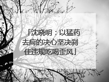 沈晓明：以猛药去疴的决心坚决刹住违规吃喝歪风