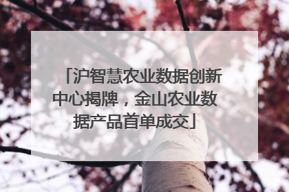 沪智慧农业数据创新中心揭牌，金山农业数据产品首单成交