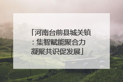 河南台前县城关镇：集智赋能聚合力 凝聚共识促发展