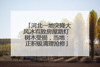 河北一地突降大风冰雹致房屋路灯树木受损，当地：正积极清理抢修