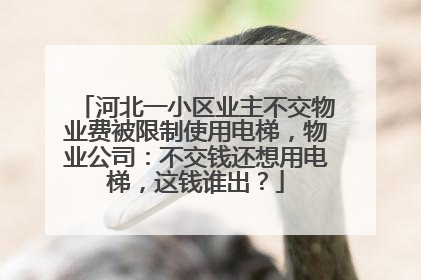 河北一小区业主不交物业费被限制使用电梯，物业公司：不交钱还想用电梯，这钱谁出？