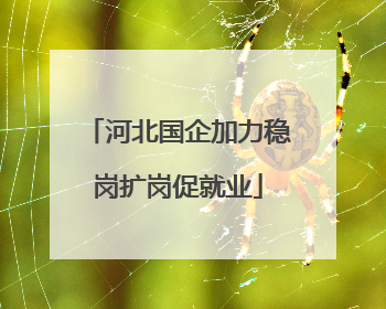 河北国企加力稳岗扩岗促就业
