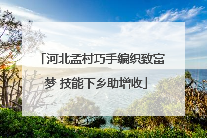 河北孟村巧手编织致富梦 技能下乡助增收