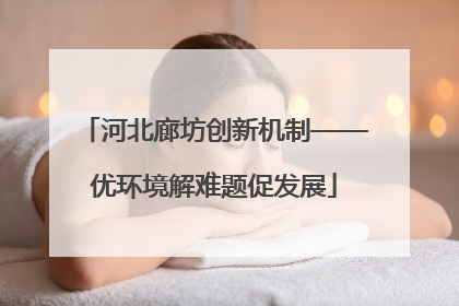 河北廊坊创新机制——优环境解难题促发展
