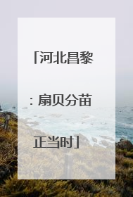 河北昌黎：扇贝分苗正当时