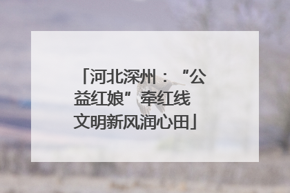 河北深州：“公益红娘”牵红线 文明新风润心田