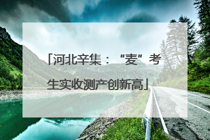 河北辛集：“麦”考生实收测产创新高
