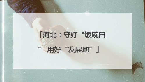 河北：守好“饭碗田” 用好“发展地”