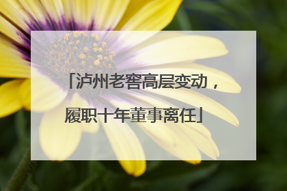 泸州老窖高层变动，履职十年董事离任
