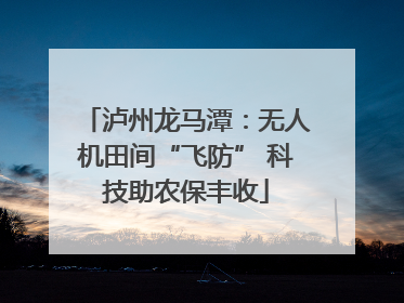 泸州龙马潭：无人机田间“飞防” 科技助农保丰收