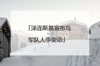 泽连斯基宣布乌军队人事变动