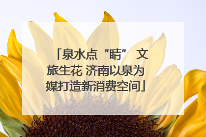 泉水点“睛” 文旅生花 济南以泉为媒打造新消费空间
