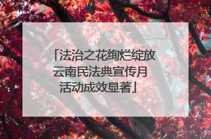 法治之花绚烂绽放 云南民法典宣传月活动成效显著