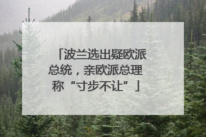 波兰选出疑欧派总统，亲欧派总理称“寸步不让”