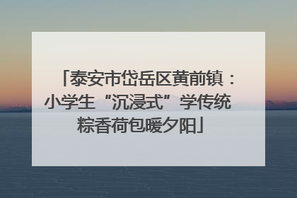 泰安市岱岳区黄前镇：小学生“沉浸式”学传统 粽香荷包暖夕阳