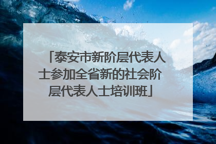 泰安市新阶层代表人士参加全省新的社会阶层代表人士培训班