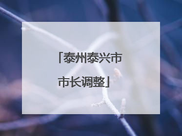 泰州泰兴市市长调整