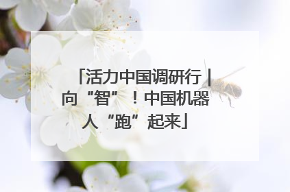 活力中国调研行｜向“智”！中国机器人“跑”起来