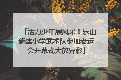 活力少年展风采！乐山新建小学武术队参加老运会开幕式大放异彩