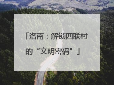 洛南：解锁四联村的“文明密码”