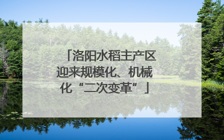 洛阳水稻主产区迎来规模化、机械化“二次变革”