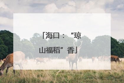 海口：“琼山福稻”香