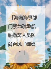 海南海事部门紧急疏散船舶撤离人员防御台风“蝴蝶”