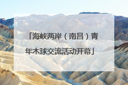 海峡两岸（南昌）青年木球交流活动开幕