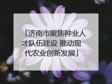 济南市聚焦种业人才队伍建设 推动现代农业创新发展