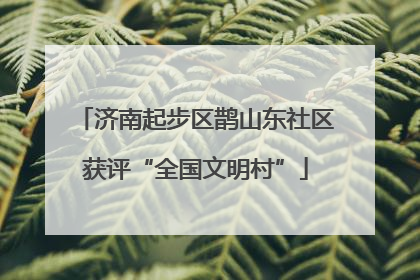 济南起步区鹊山东社区获评“全国文明村”