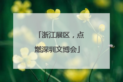 浙江展区，点燃深圳文博会