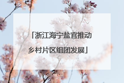 浙江海宁盐官推动乡村片区组团发展
