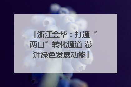 浙江金华：打通“两山”转化通道 澎湃绿色发展动能