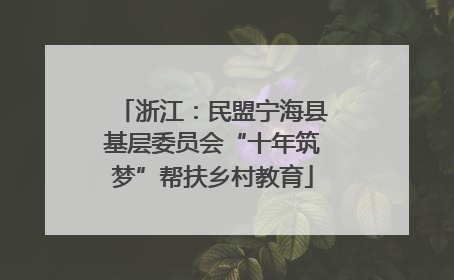 浙江：民盟宁海县基层委员会“十年筑梦”帮扶乡村教育