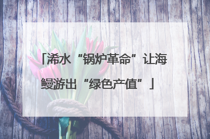浠水“锅炉革命”让海鳗游出“绿色产值”