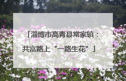淄博市高青县常家镇：共富路上“一路生花”