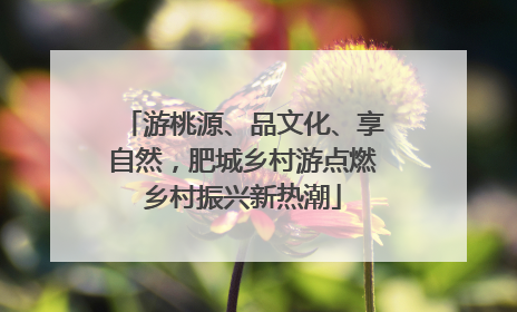 游桃源、品文化、享自然，肥城乡村游点燃乡村振兴新热潮