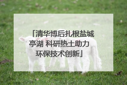 清华博后扎根盐城亭湖 科研热土助力环保技术创新