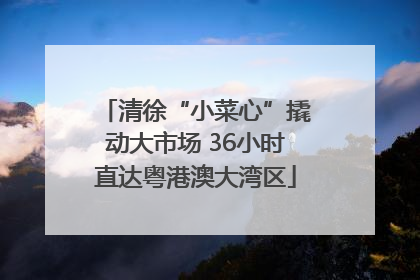 清徐“小菜心”撬动大市场 36小时直达粤港澳大湾区