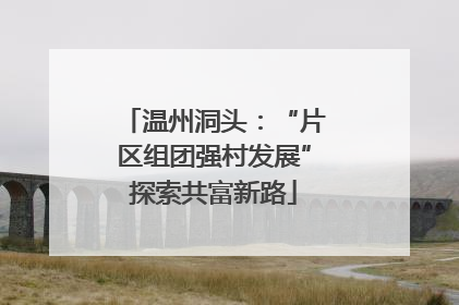 温州洞头：“片区组团强村发展”探索共富新路