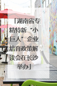 湖南省专精特新“小巨人”企业培育政策解读会在长沙举办