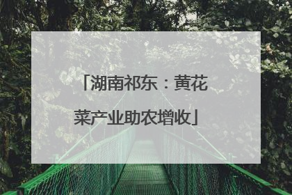 湖南祁东：黄花菜产业助农增收