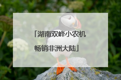 湖南双峰小农机畅销非洲大陆