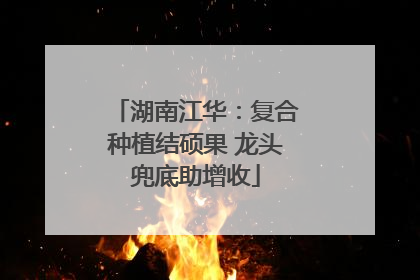 湖南江华：复合种植结硕果 龙头兜底助增收