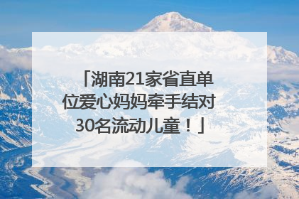 湖南21家省直单位爱心妈妈牵手结对30名流动儿童！