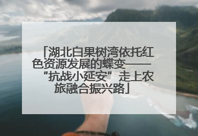 湖北白果树湾依托红色资源发展的蝶变——“抗战小延安”走上农旅融合振兴路