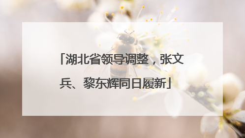 湖北省领导调整，张文兵、黎东辉同日履新