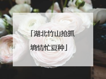 湖北竹山抢抓墒情忙夏种