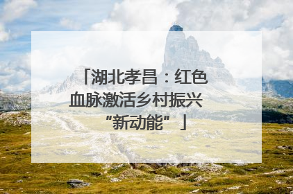 湖北孝昌：红色血脉激活乡村振兴“新动能”